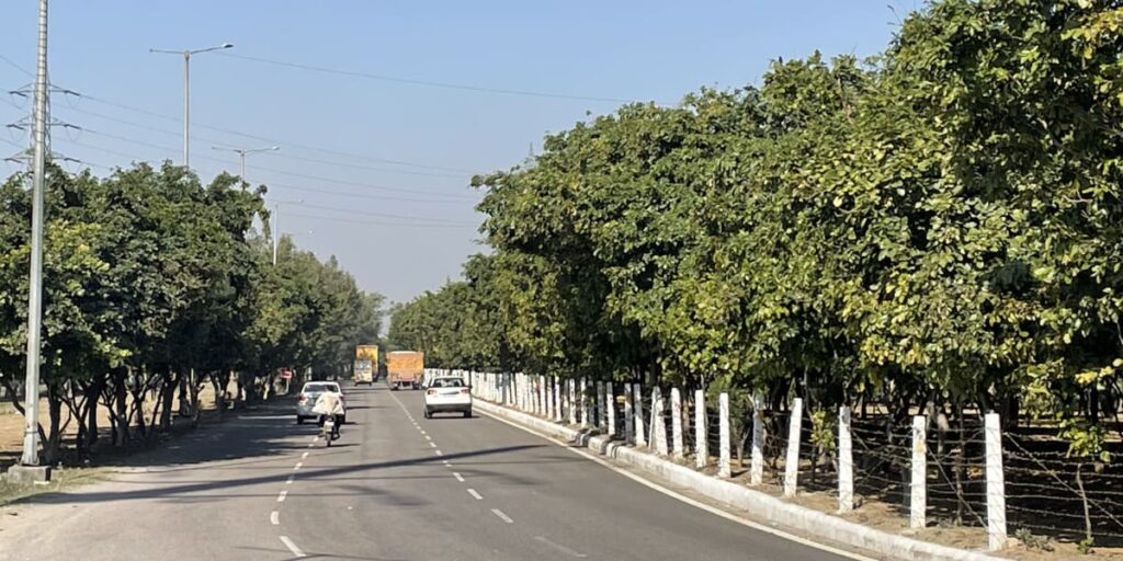 Greater Noida vs Noida: Which is Better for Living?